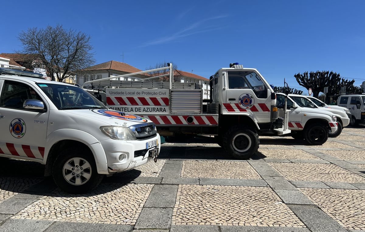 Mangualde assinala Dia da Proteção Civil Municipal
