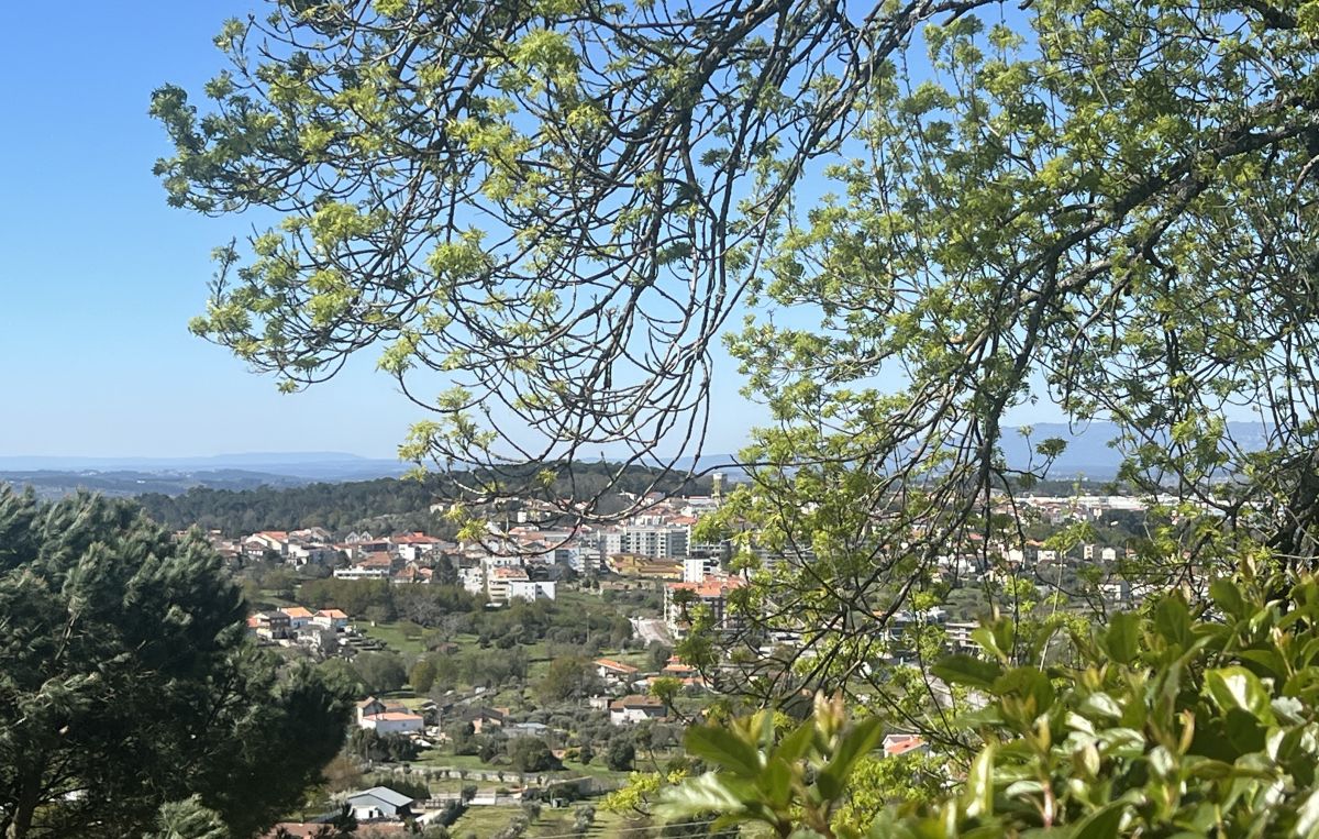 Este fim de semana em Mangualde