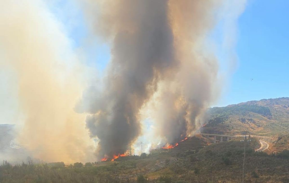 Incêndio obriga à suspensão da circulação ferroviária entre Mangualde e Gouveia