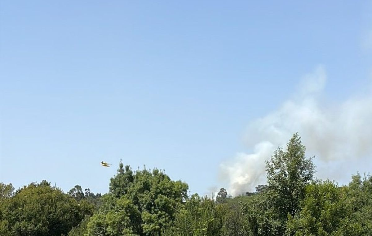 Incêndio em Mangualde mobiliza dezenas de bombeiros e um meio aéreo