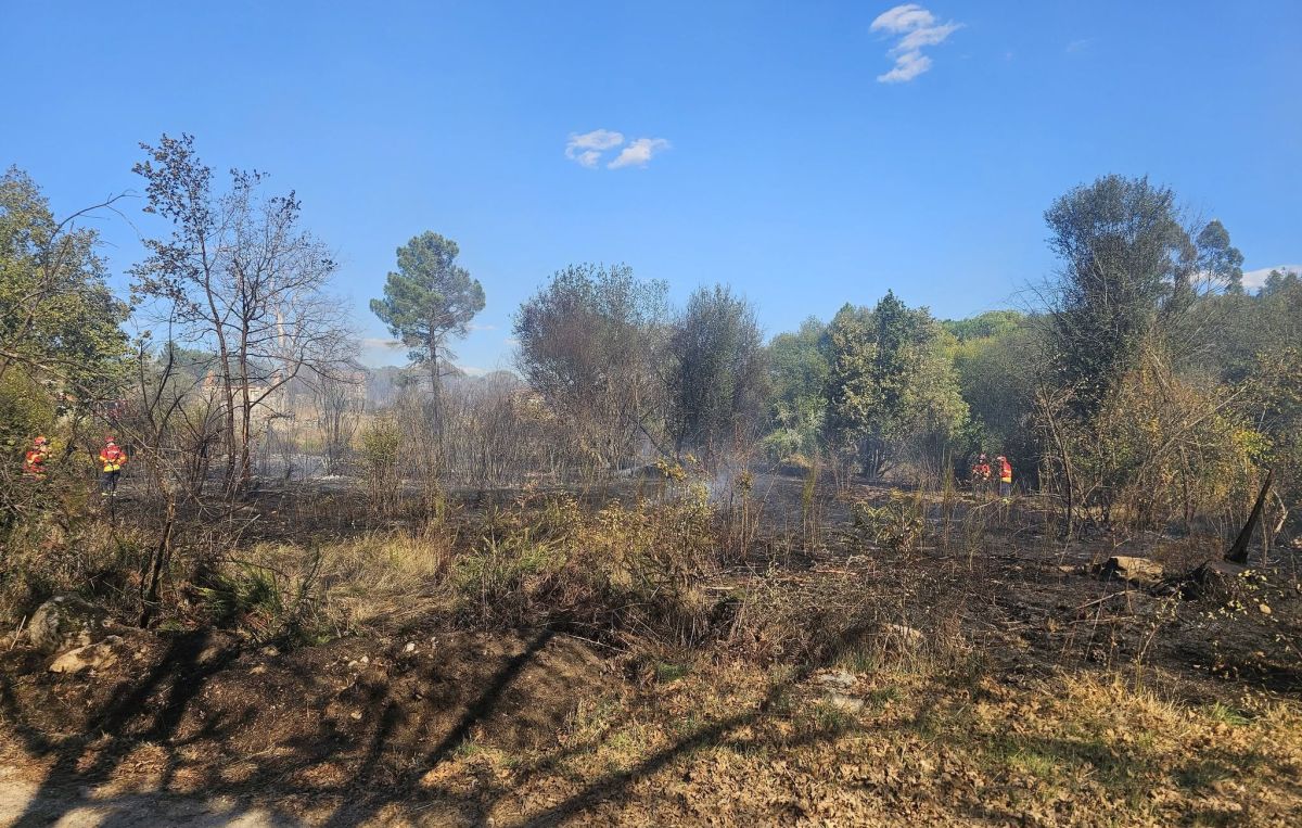 Mangualde: Incêndio em Almeidinha mobiliza quatro meios aéreos