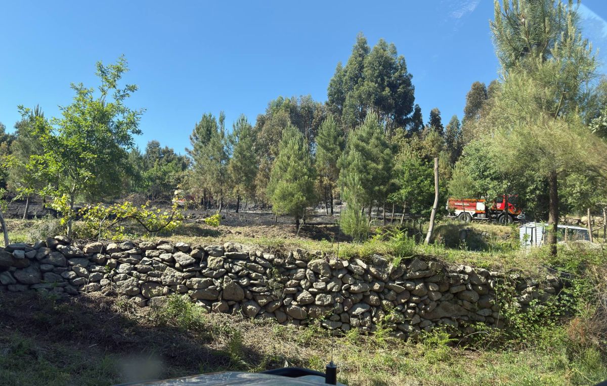 Incêndio deflagra em zona de mato em Vila Mendo de Tavares, concelho de Mangualde