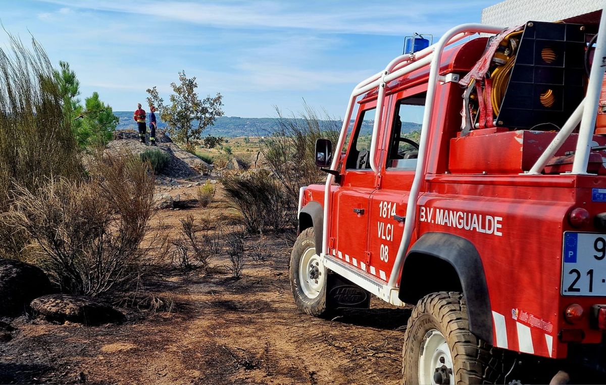 Incêndio em área de mato mobiliza bombeiros em Mangualde