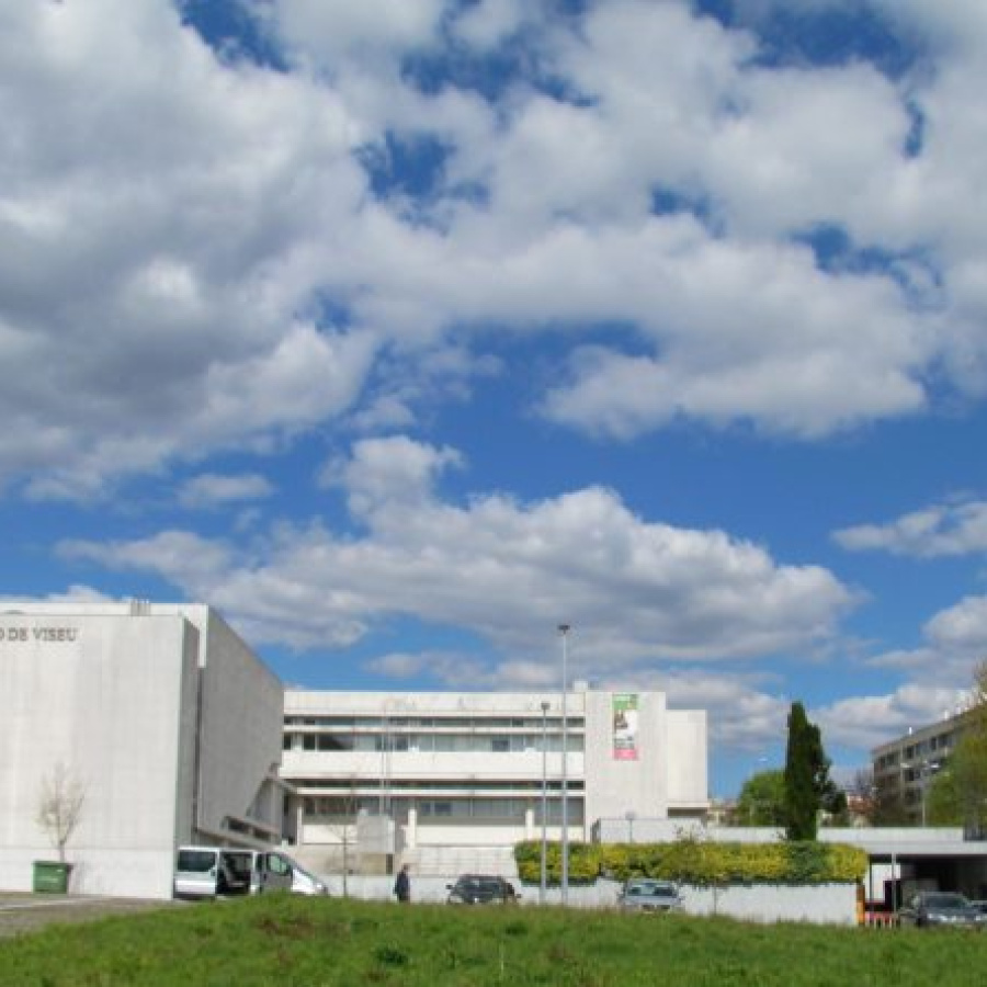 Instituto Politécnico de Viseu passa a Universidade Politécnica a partir de agosto