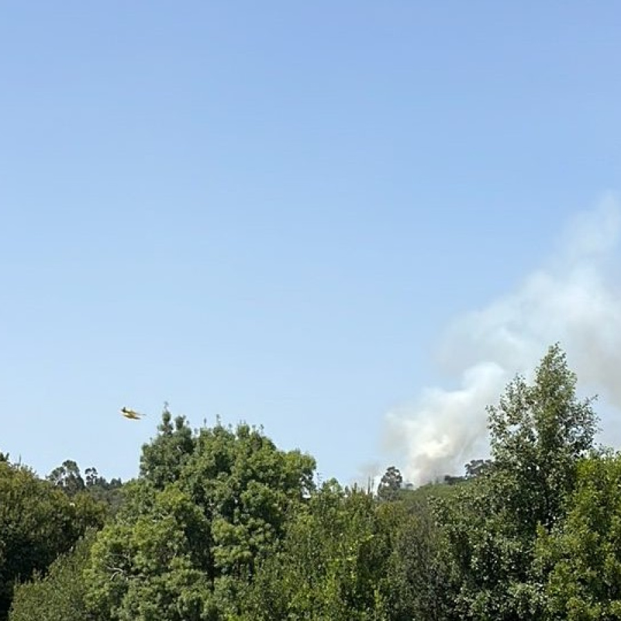 Incêndio em Mangualde mobiliza dezenas de bombeiros e um meio aéreo