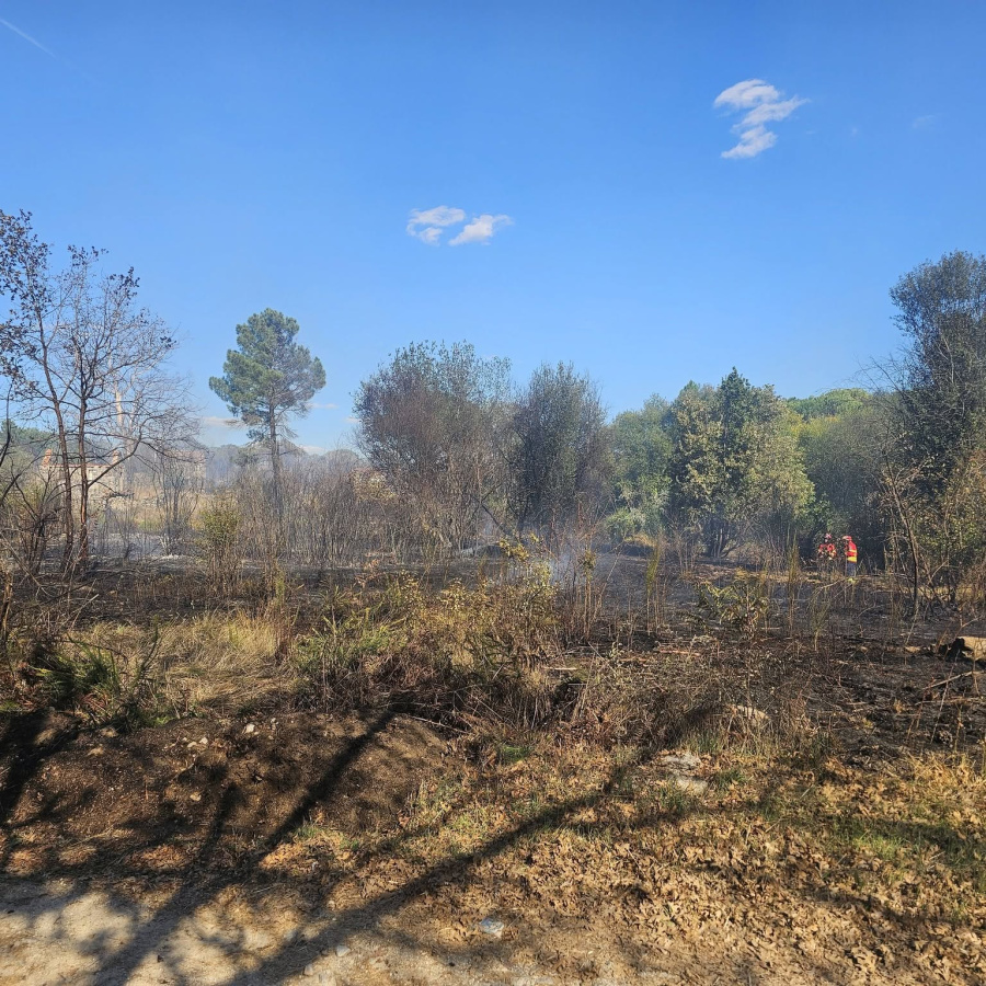 Mangualde: Incêndio em Almeidinha mobiliza quatro meios aéreos